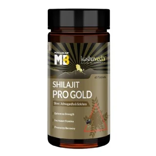 Shilajit